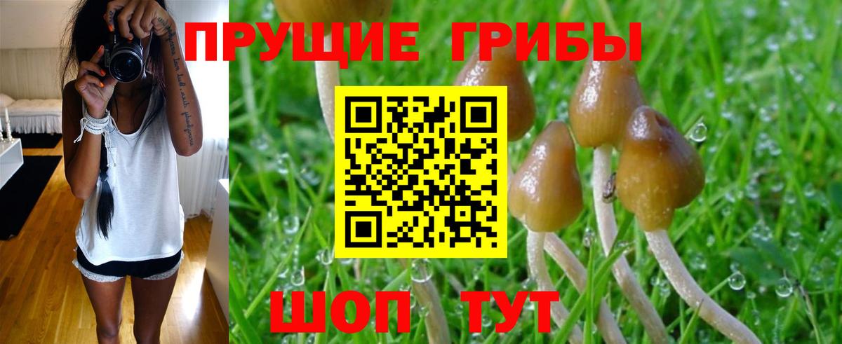 Псилоцибиновые грибы прущие грибы  Галлюциногенные грибы Cubensis  Нягань  Вход с VPN 